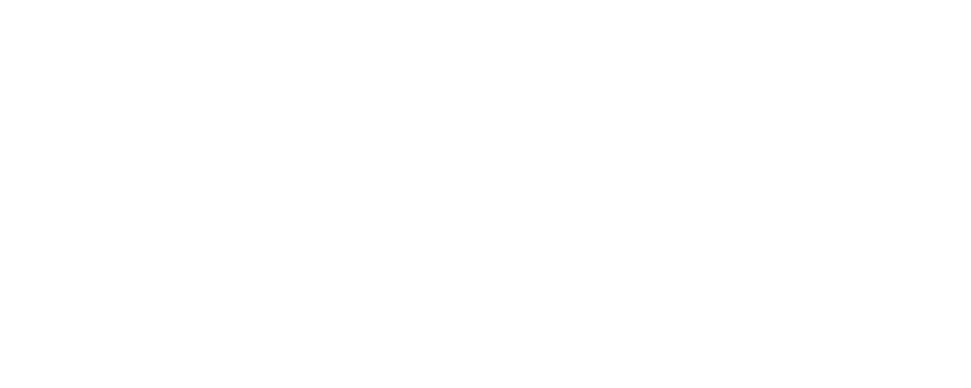 BambaNatural_logoBranco_transparente